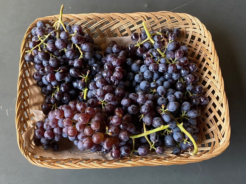 Zoning in on Bardolino