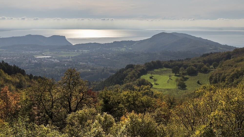 Zoning in on Bardolino