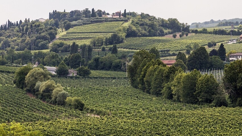 Zoning in on Bardolino