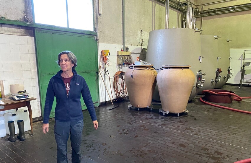 Zoning in on Bardolino