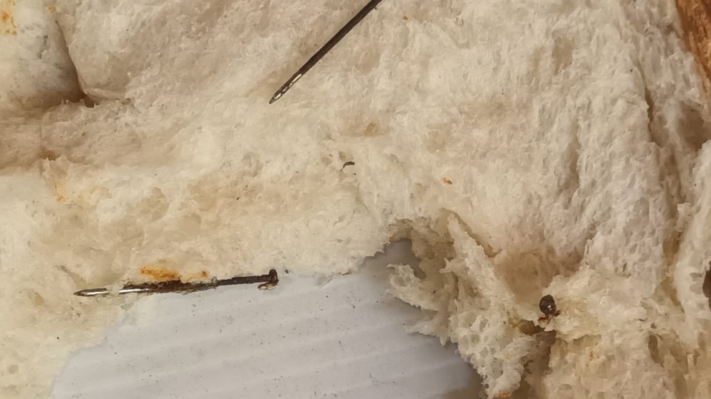 பாணுக்குள் குண்டு ஊசிகள்