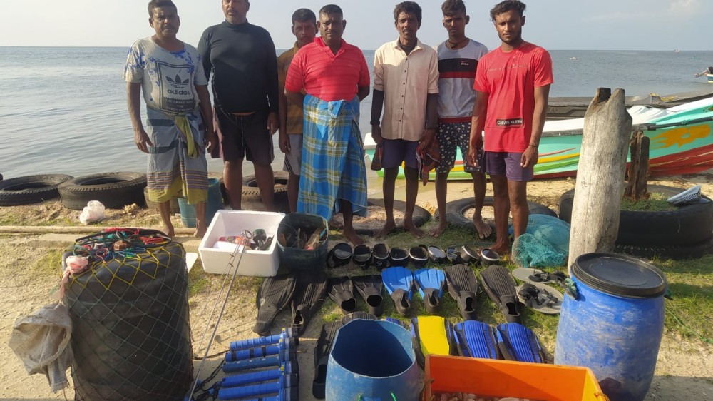 கடலட்டை பிடித்த ஏழு பேர் மேலும் நடவடிக்கை