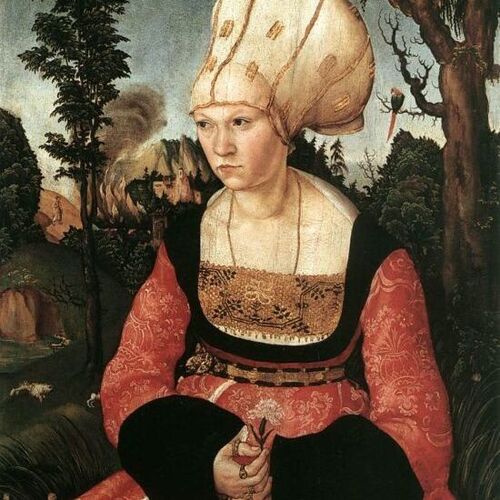 Portrait of Anna Cuspinian