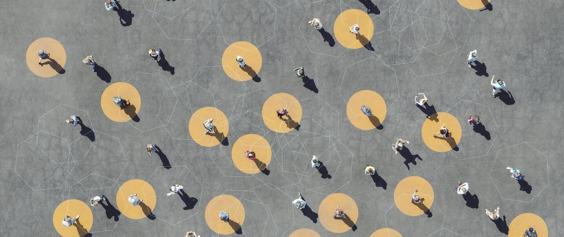 Leadership Consultation