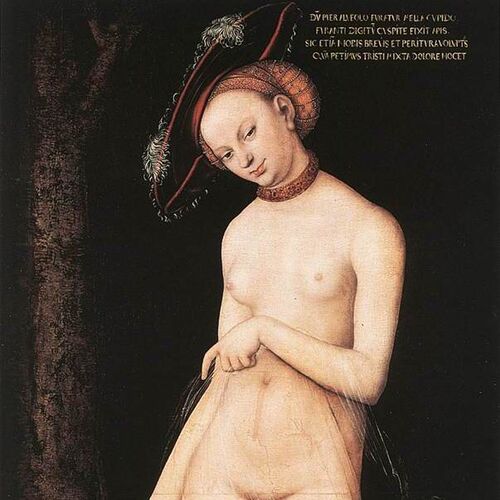 Venus and Cupid (Brussels version)