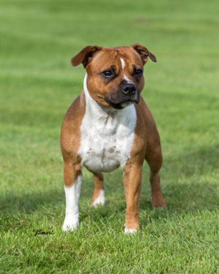 Next Steps........Rosie