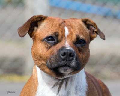 Next Steps........Rosie