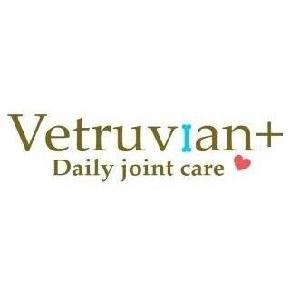 V+ Daily Joint Supplement