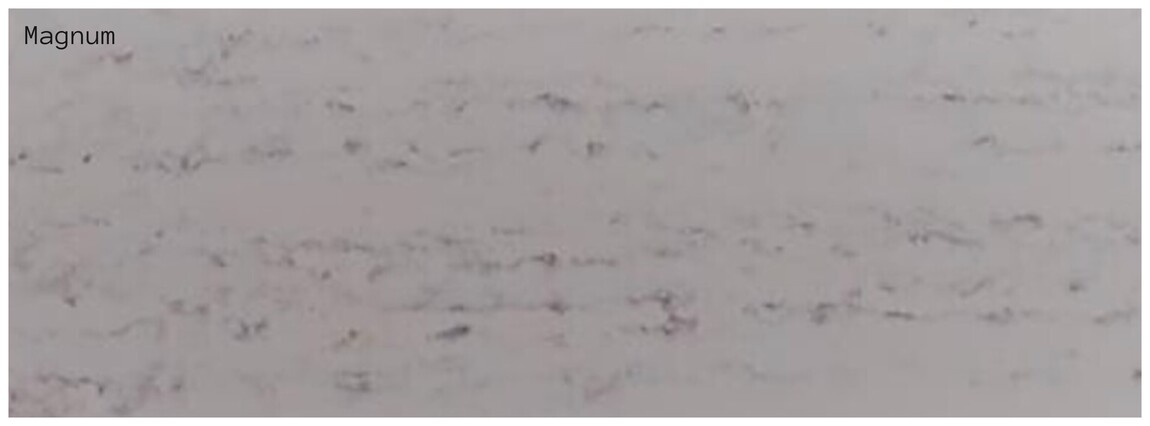 Global quartz Magnum