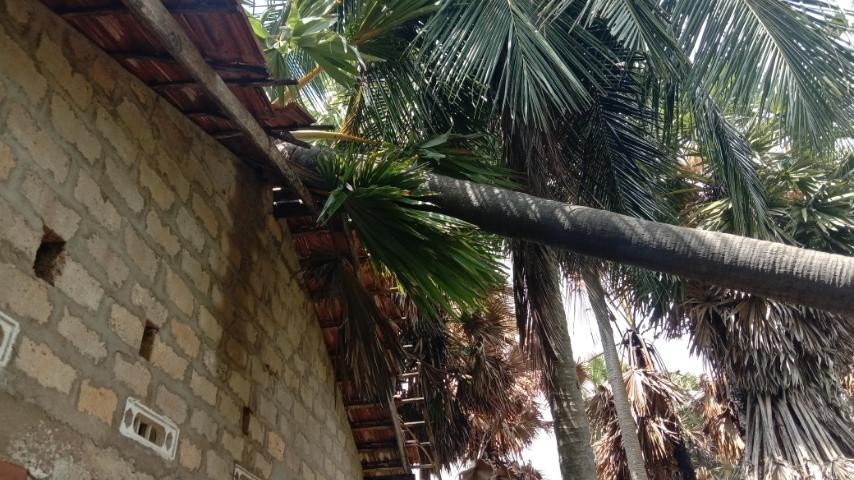 சீரற்ற காலநிலையால் பாதிப்பு