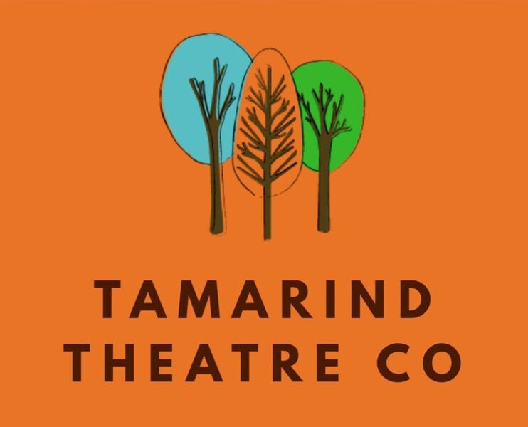 Tamarind Theatre Company | Theatre Company London | Storytelling London | Training and mentoring, interactive London