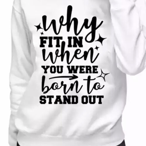 Unisex Sweater Why Fit in…