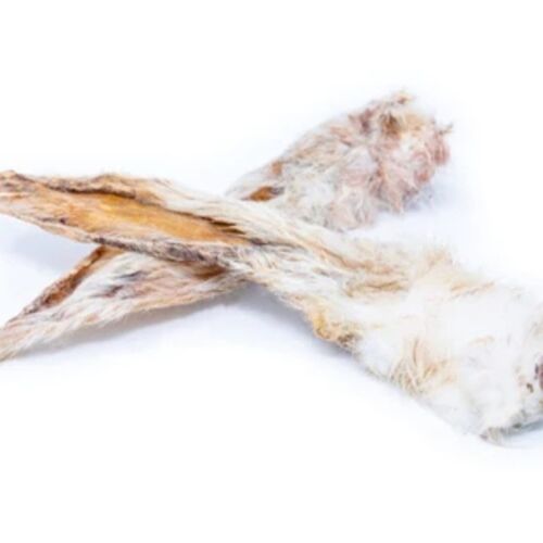 Rabbit Ears with Fur