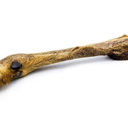 Venison Foot with Fur