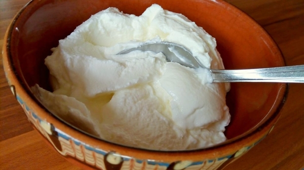 Is Bulgarian Yoghurt the antimicrobial yoghurt your gut is looking for?