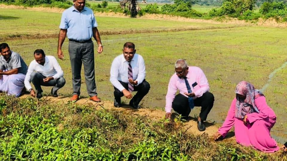 வரம்புகளில் பயிர்ச் செய்கை