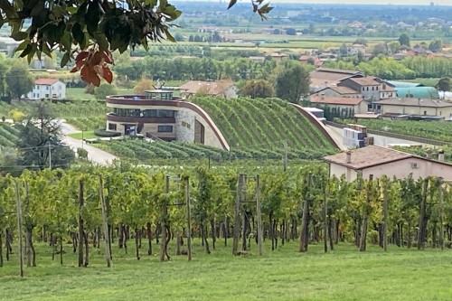 Asolo - Prosecco that Knows its Place