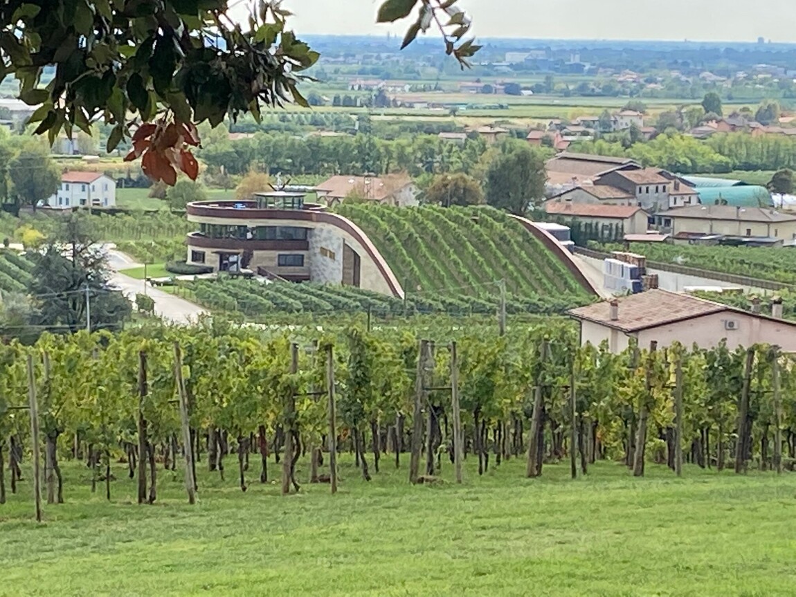 Asolo - Prosecco that Knows its Place