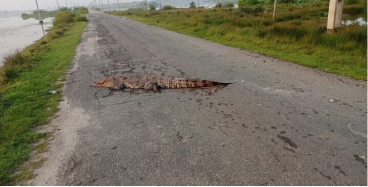 பலவகைச் செய்தித் துணுக்குகள்