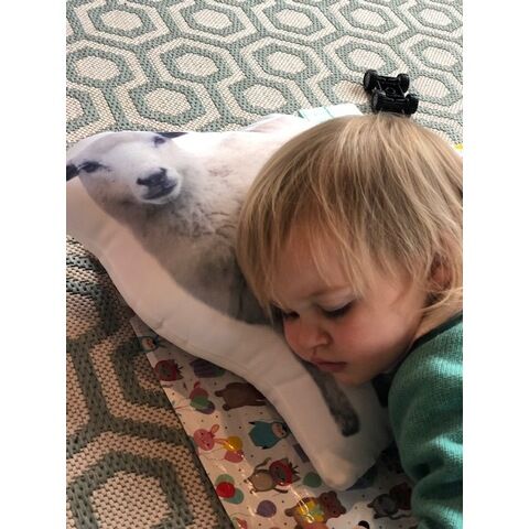 Personalised Pet Shaped Cushion, Double Sided