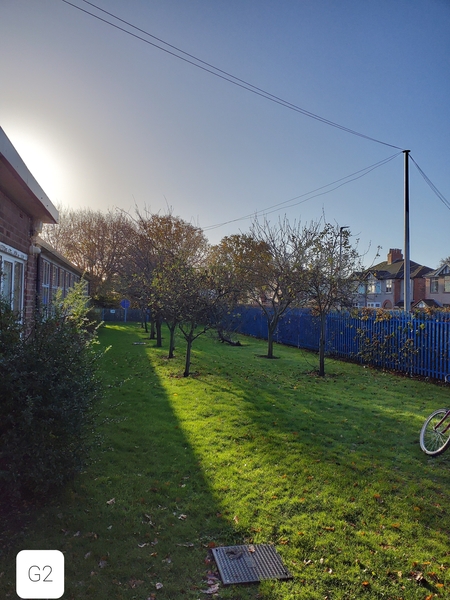 Great to see school orchards!