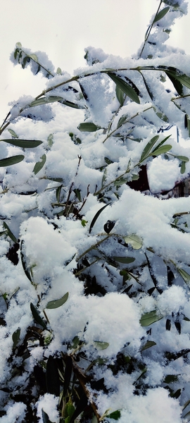 Christmas & New Year Holidays 2022-23