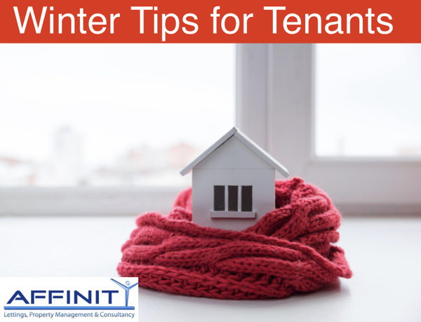 Cold Weather Tips for Tenants