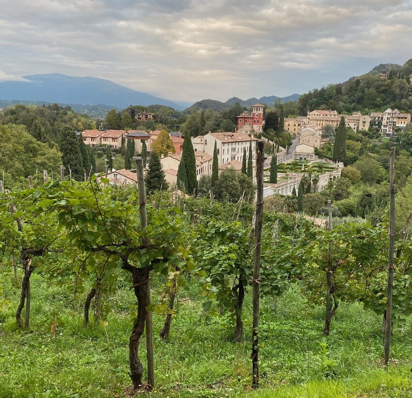 Asolo - Prosecco that Knows its Place