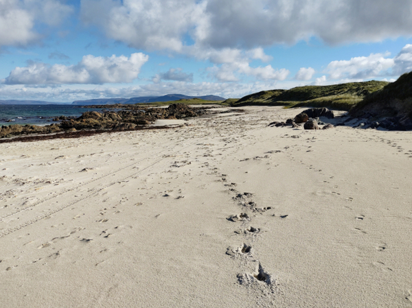 Winner of the Journeying Poetry Competition 2022