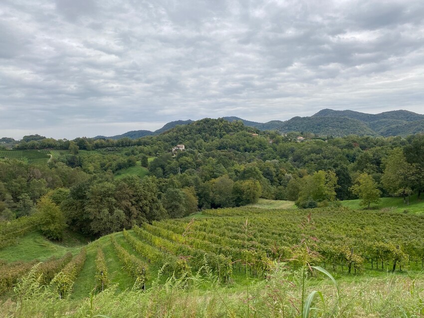 Asolo - Prosecco that Knows its Place