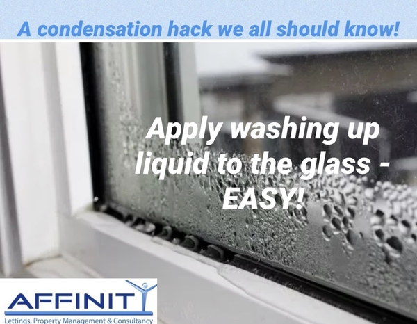 Cleaning expert 'swears by' washing up liquid method to stop condensation