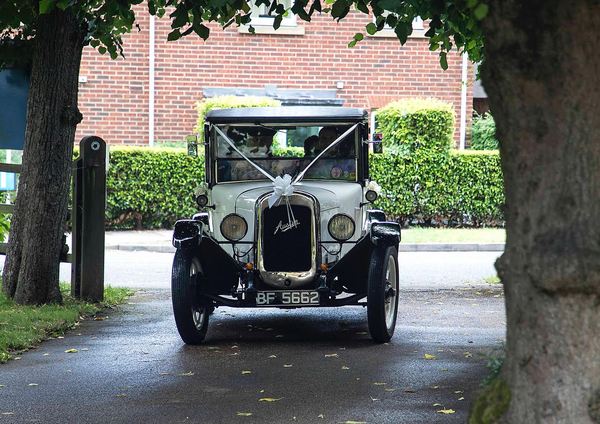 Whoops! I've been slacking.