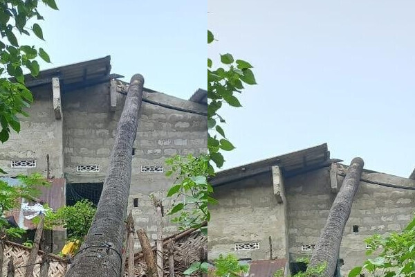 பலவகைச் செய்தித் துணுக்குகள் - 10.12.2022