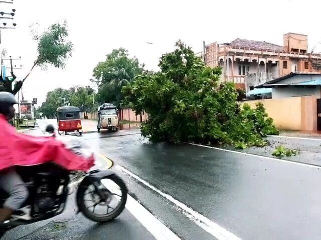 பலவகைச் செய்தித் துணுக்குகள் - 10.12.2022