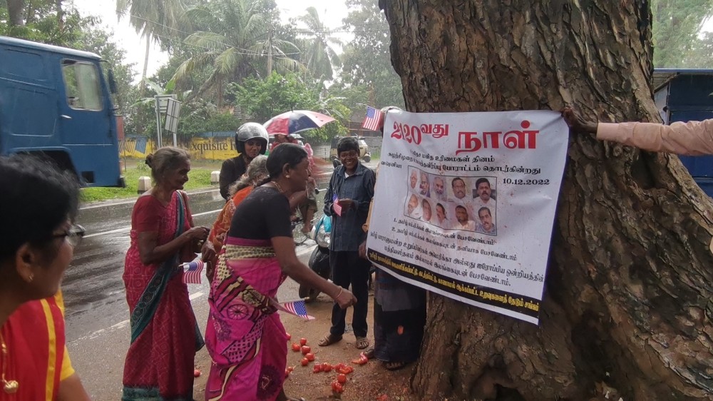 பதாகைகள் மீது தக்காளி பழத் தாக்குதல்