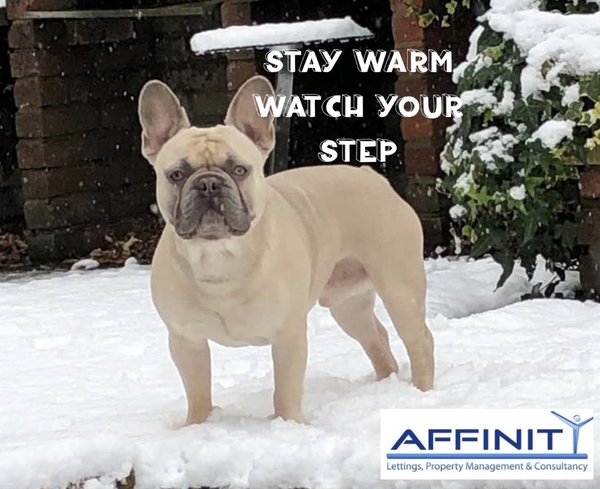 Avoid slips and falls in icy conditions