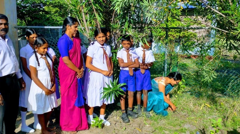 பசுமையான தாயகம்