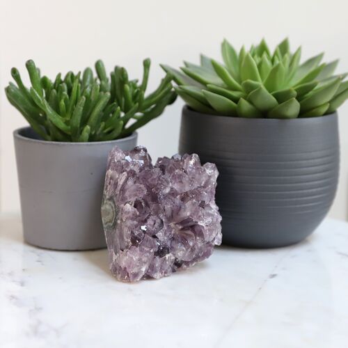 Amethyst Geode Pine Crystal