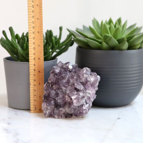 Amethyst Geode Pine Crystal