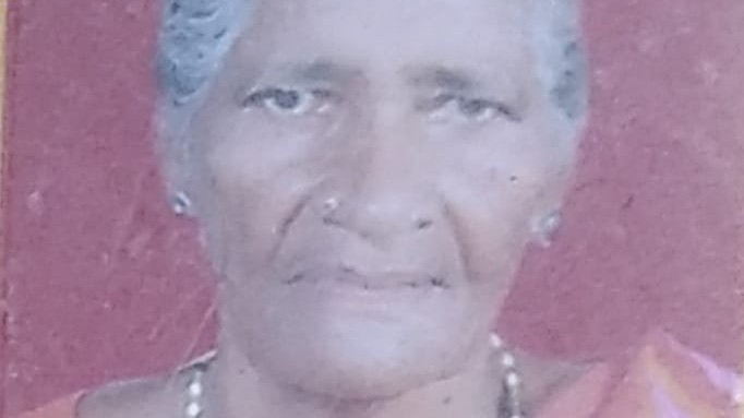 மகனை தேடிவந்த தாய் மரணம்