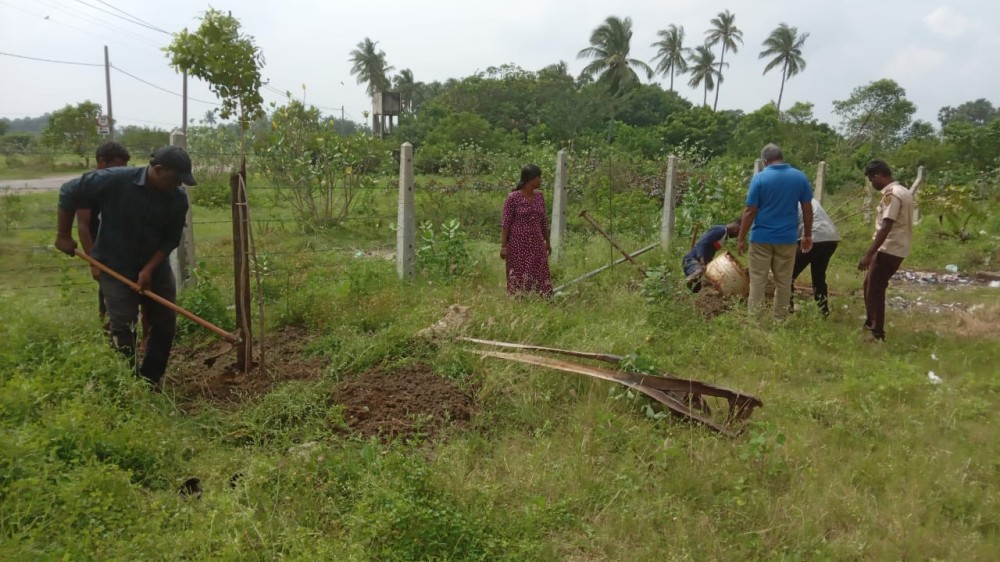 தீவகத்தை மரங்களை நாட்டி பசுமையாக்கும் திட்டம்