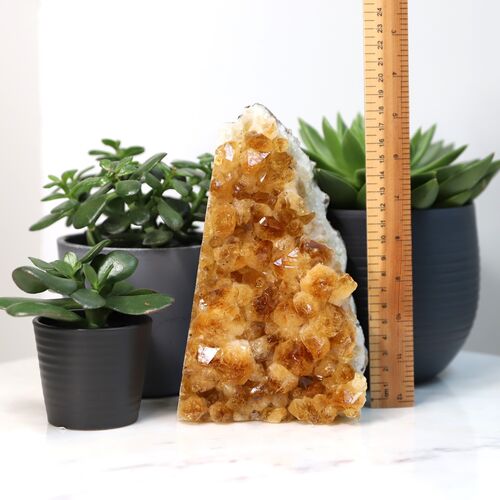 Citrine Free Standing Geode