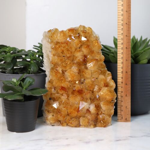 Citrine Free Standing Geode
