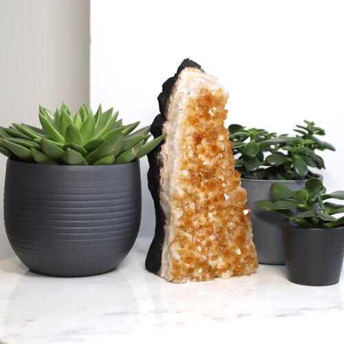 Citrine Free Standing Geode