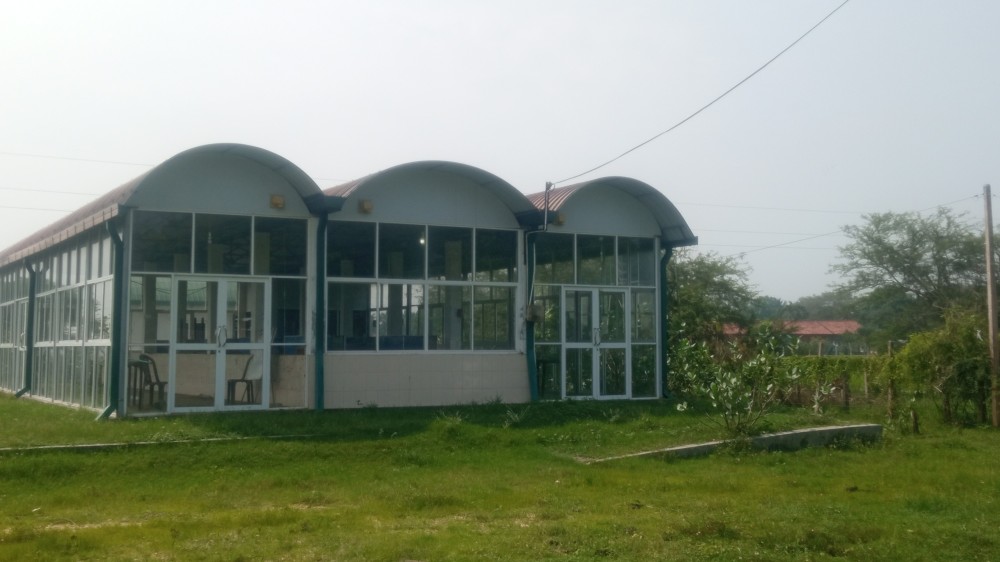 பாரம்பரிய அம்மாச்சி உணவகம்  திறக்க நடவடிக்கை