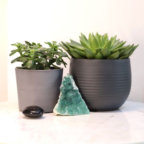 Fluorite Natural Cluster