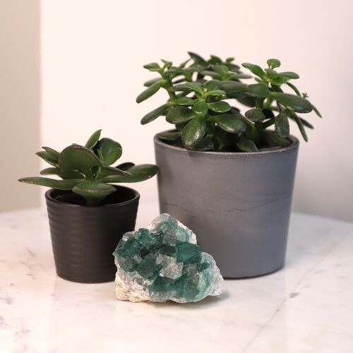 Fluorite Natural Cluster