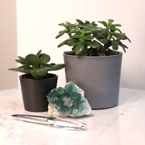 Fluorite Natural Cluster