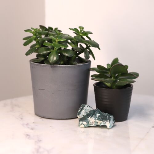 Fluorite Natural Cluster