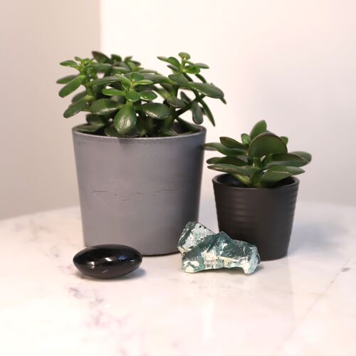 Fluorite Natural Cluster